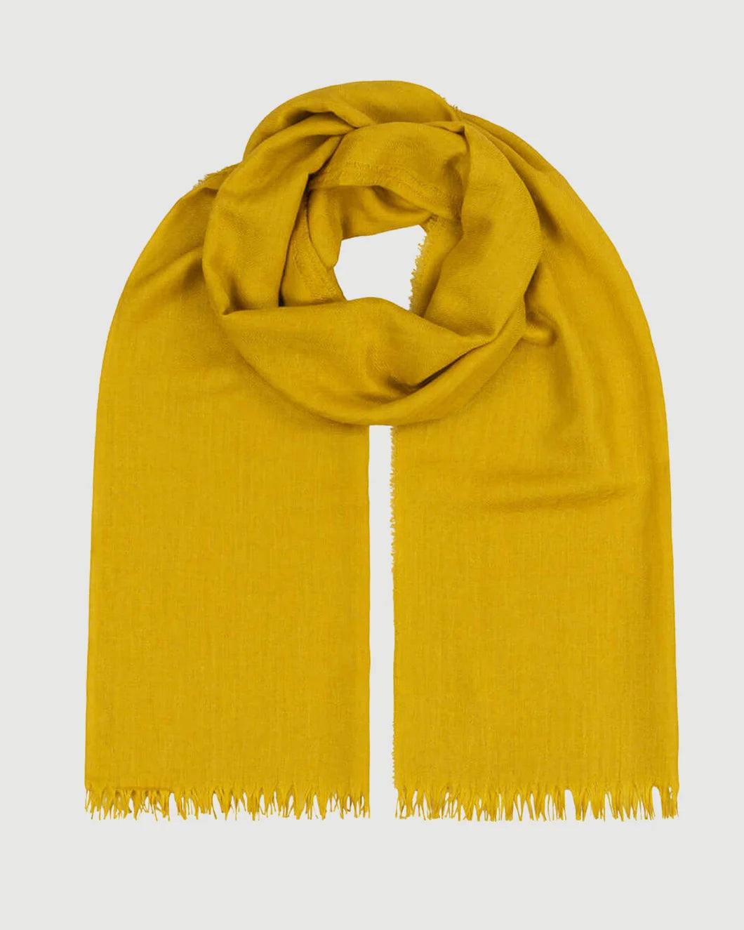 BEGG X CO staffa Solid Cashmere Scarf gold dust isolated