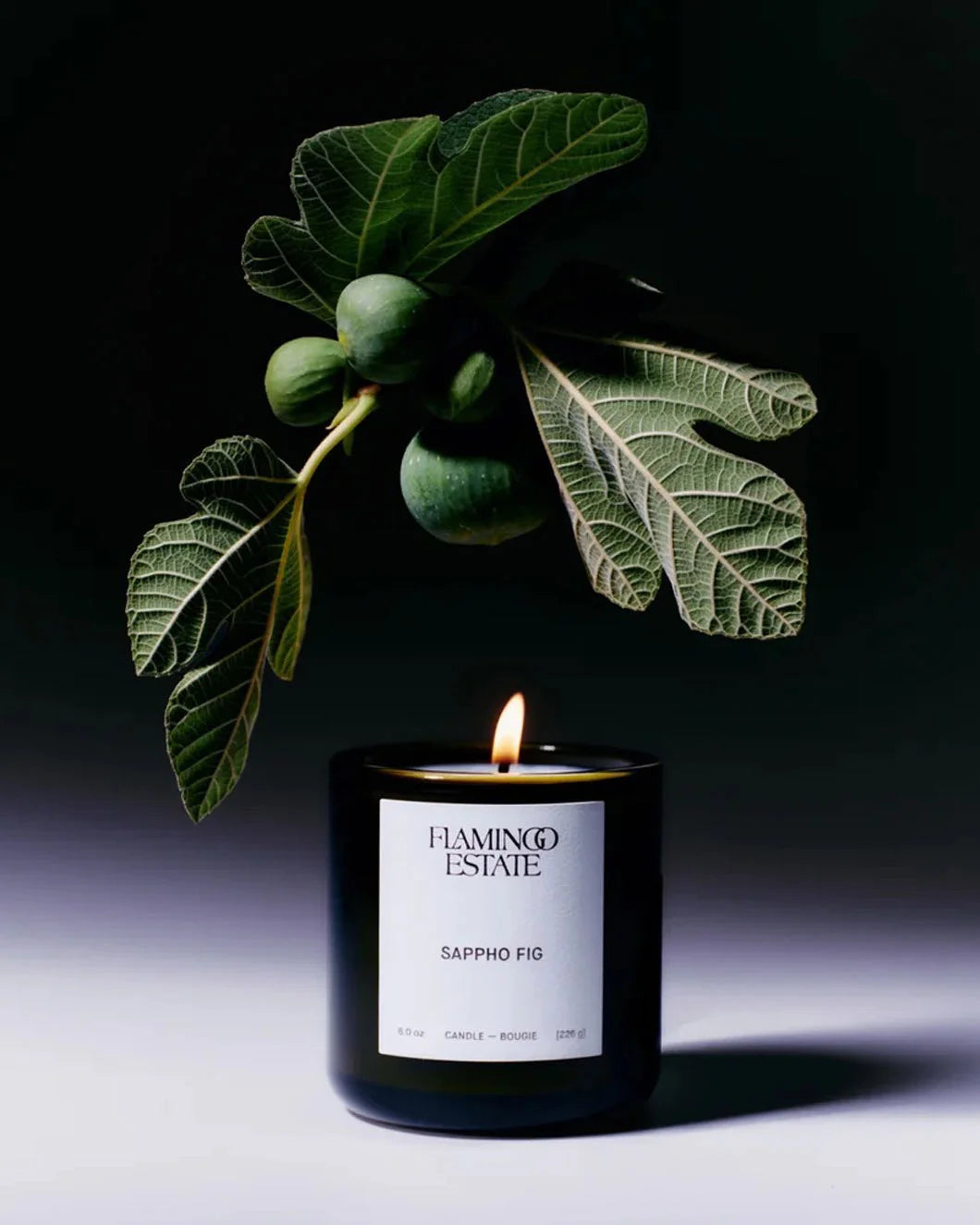 FLAMINGO ESTATE Sappho Fig Candle front
