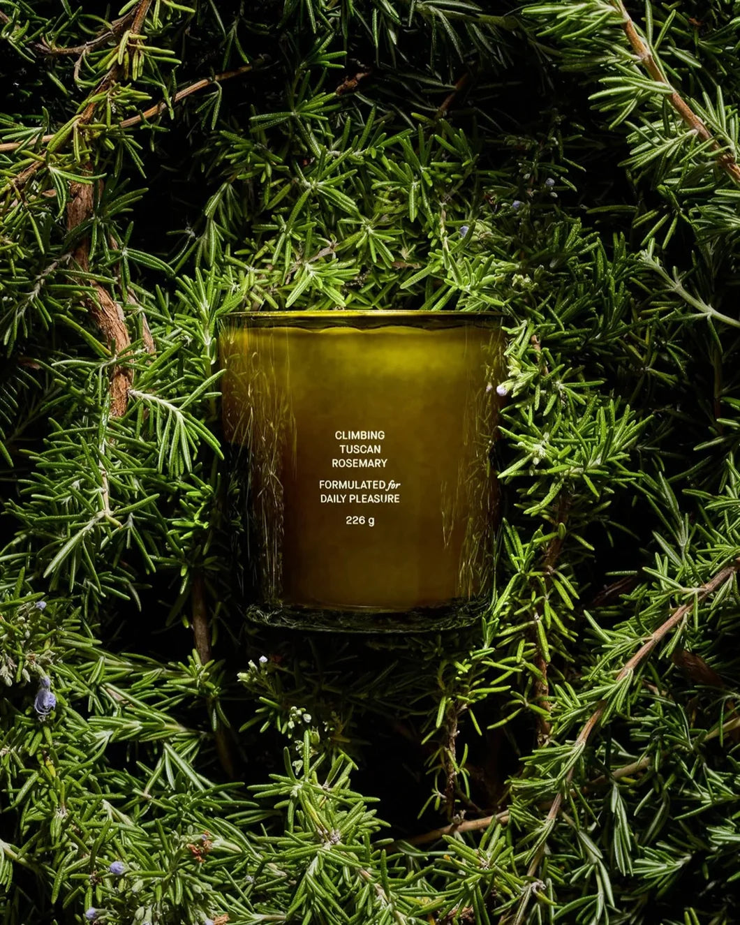 flamingo estate Climbing Tuscan Rosemary Candle