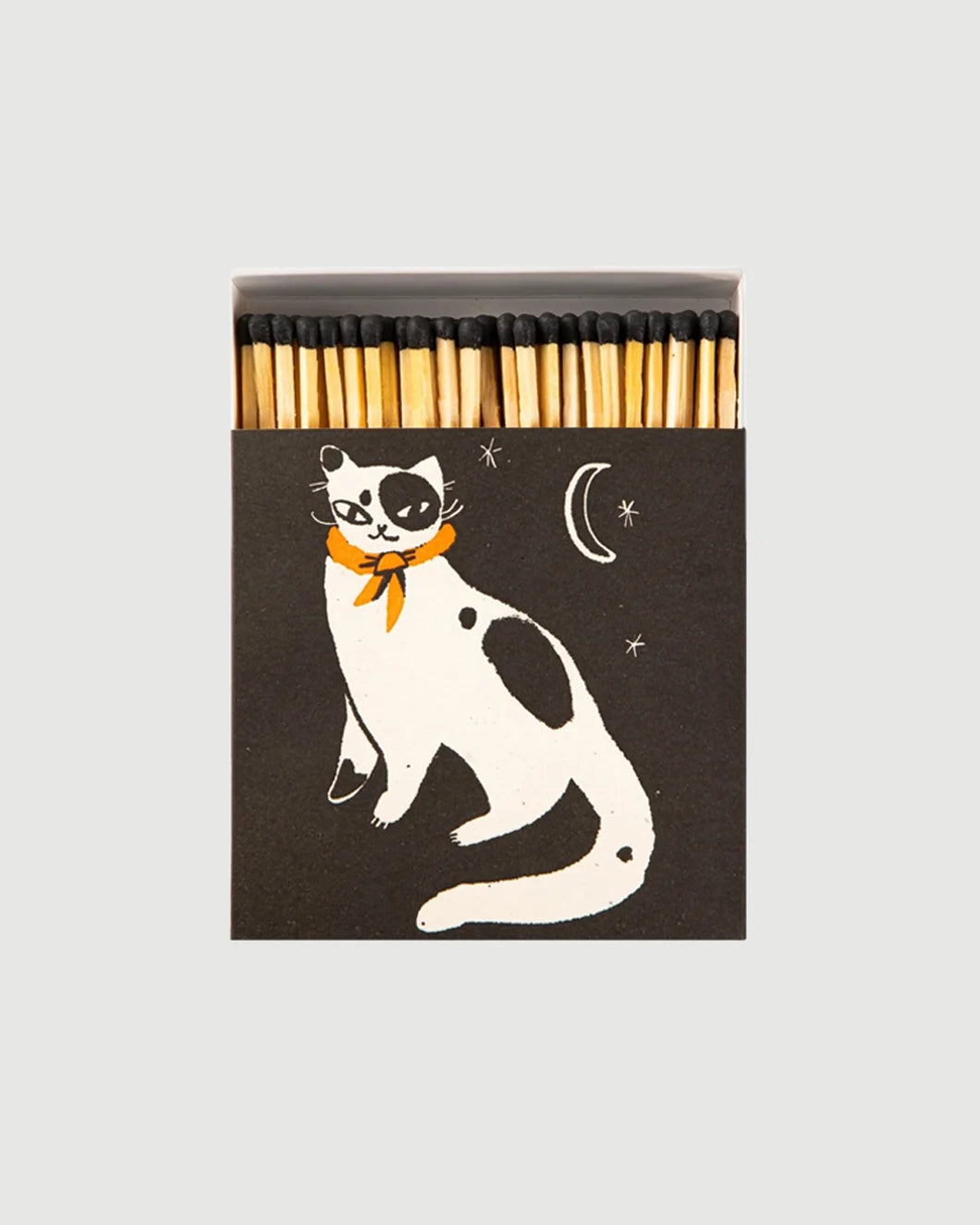 ARCHIVIST-black-spotted-kitten-matches-front-isolated