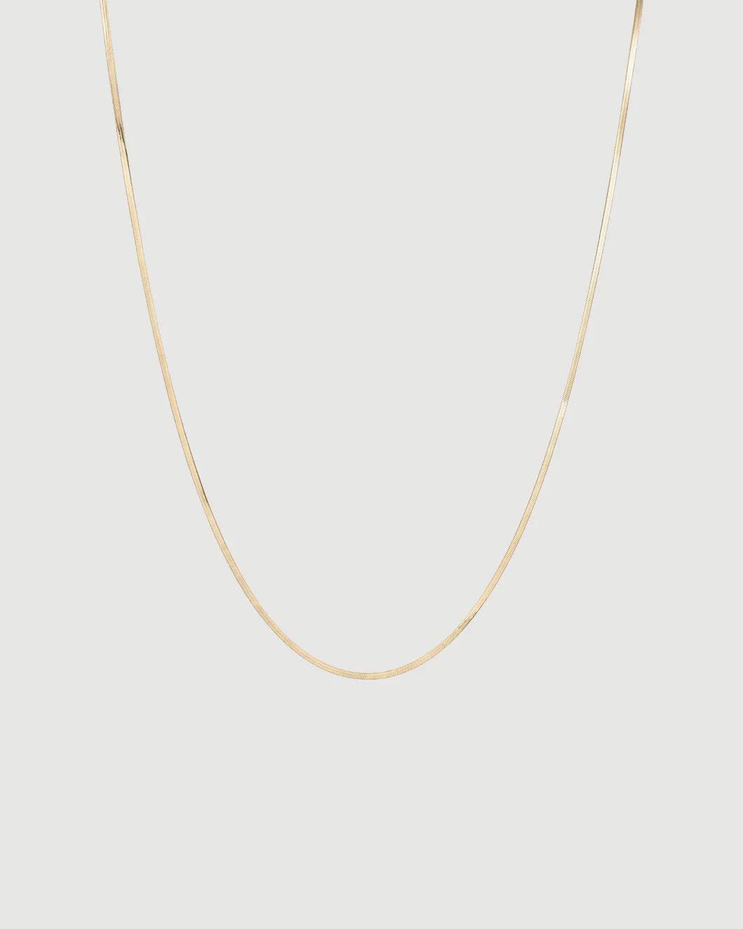 JENNY BIRD zeina slim chain gold gfont isolated