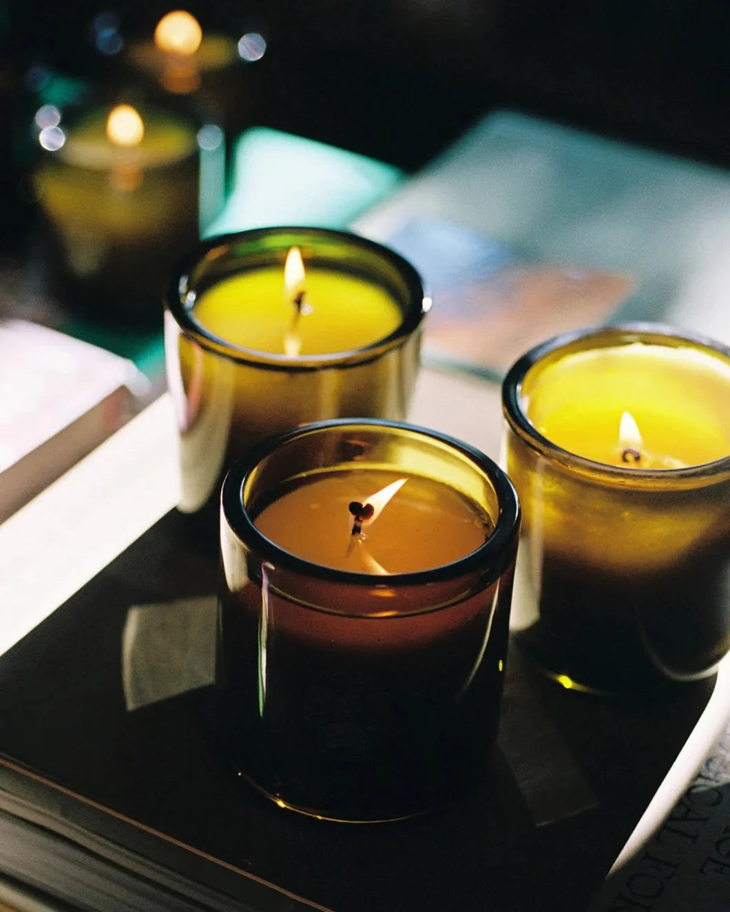 flamingo estate Climbing Tuscan Rosemary Candle